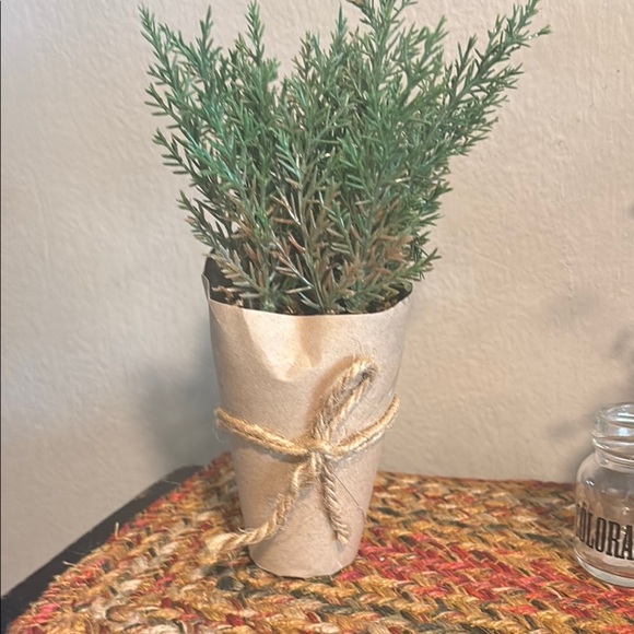 Green Faux Plant in Tan Paper Wrap - Picture 2 of 10